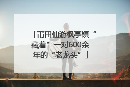 莆田仙游枫亭镇“藏着”一对600余年的“老龙头”