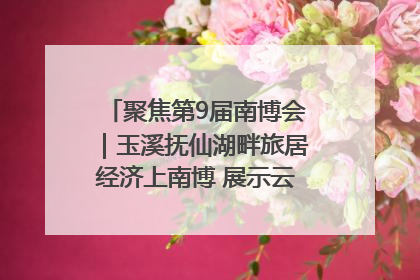 聚焦第9届南博会｜玉溪抚仙湖畔旅居经济上南博 展示云南生活新样本