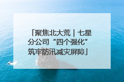 聚焦北大荒｜七星分公司“四个强化”筑牢防汛减灾屏障