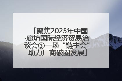 聚焦2025年中国·廊坊国际经济贸易洽谈会③一场“链主会” 助力厂商破圈发展
