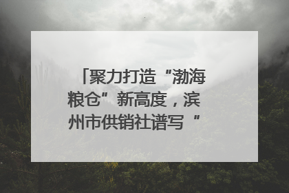 聚力打造“渤海粮仓”新高度，滨州市供销社谱写“三夏”丰收乐章