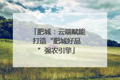 肥城：云端赋能 打造“肥城好品”强农引擎