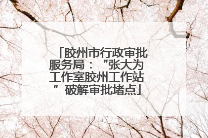 胶州市行政审批服务局：“张大为工作室胶州工作站”破解审批堵点