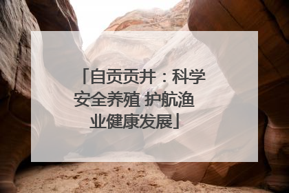 自贡贡井：科学安全养殖 护航渔业健康发展