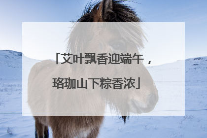 艾叶飘香迎端午，珞珈山下粽香浓