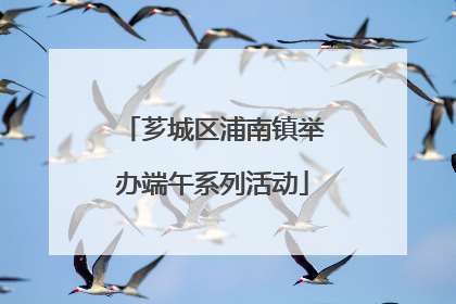 芗城区浦南镇举办端午系列活动