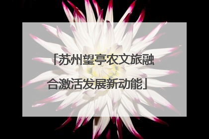 苏州望亭农文旅融合激活发展新动能