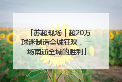 苏超现场｜超20万球迷制造全城狂欢，一场南通全域的胜利