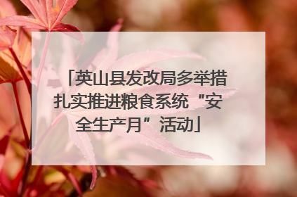 英山县发改局多举措扎实推进粮食系统“安全生产月”活动