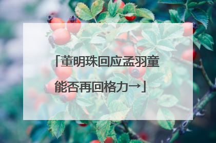 董明珠回应孟羽童能否再回格力→