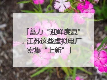蓄力“迎峰度夏”，江苏这些虚拟电厂密集“上新”