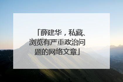 薛建华，私藏、浏览有严重政治问题的网络文章