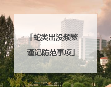 蛇类出没频繁 谨记防范事项