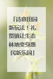 诗意田园新玩法！礼贤镇让生态林地变身惠民新乐园