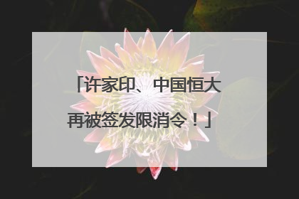 许家印、中国恒大再被签发限消令！