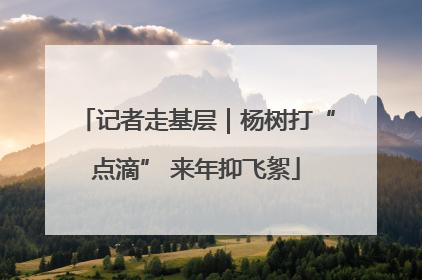 记者走基层｜杨树打“点滴” 来年抑飞絮