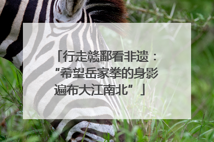 行走赣鄱看非遗：“希望岳家拳的身影遍布大江南北”
