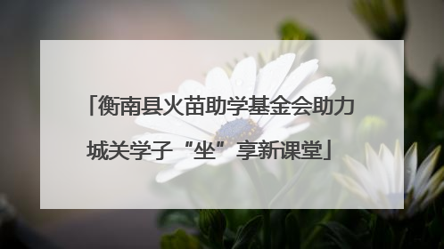 衡南县火苗助学基金会助力城关学子“坐”享新课堂