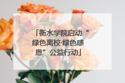 衡水学院启动“绿色离校·绿色感恩”公益行动