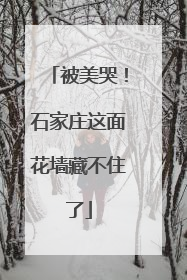 被美哭！石家庄这面花墙藏不住了