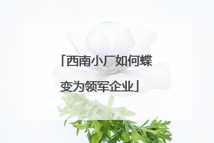 西南小厂如何蝶变为领军企业