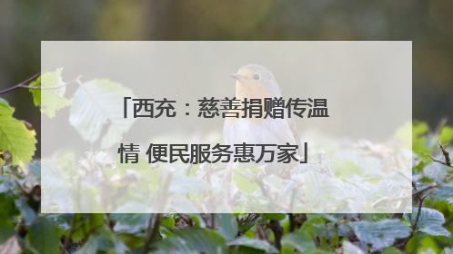西充：慈善捐赠传温情 便民服务惠万家