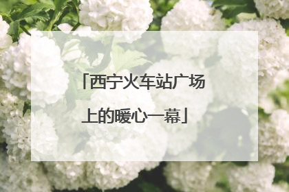 西宁火车站广场上的暖心一幕
