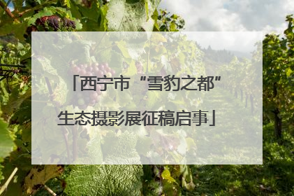 西宁市“雪豹之都”生态摄影展征稿启事