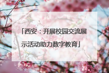 西安：开展校园交流展示活动助力数字教育