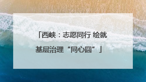 西峡：志愿同行 绘就基层治理“同心圆”