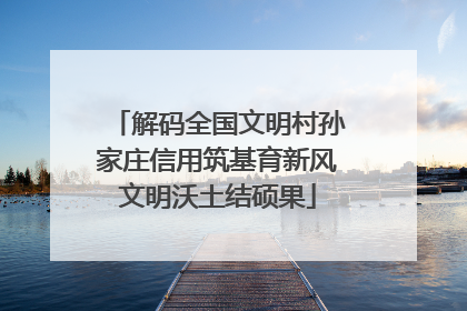 解码全国文明村孙家庄信用筑基育新风文明沃土结硕果