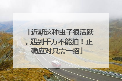 近期这种虫子很活跃，遇到千万不能拍！正确应对只需一招