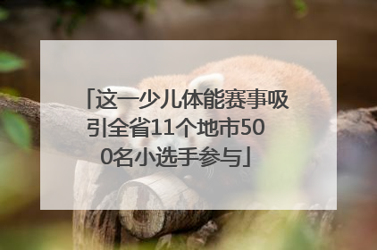 这一少儿体能赛事吸引全省11个地市500名小选手参与