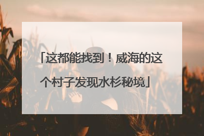 这都能找到！威海的这个村子发现水杉秘境