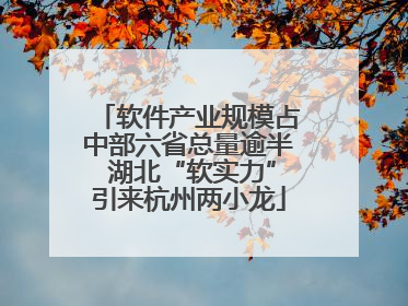 软件产业规模占中部六省总量逾半 湖北“软实力”引来杭州两小龙