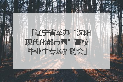 辽宁省举办“沈阳现代化都市圈”高校毕业生专场招聘会