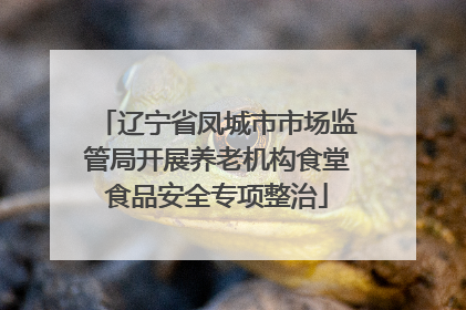 辽宁省凤城市市场监管局开展养老机构食堂食品安全专项整治
