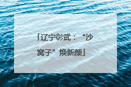 辽宁彰武：“沙窝子”焕新颜