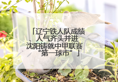 辽宁铁人队成绩、人气齐头并进 沈阳铸就中甲联赛“第一球市”