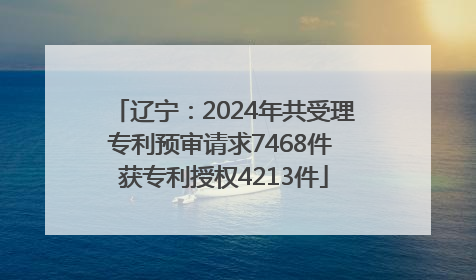 辽宁：2024年共受理专利预审请求7468件 获专利授权4213件