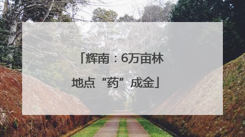 辉南：6万亩林地点“药”成金