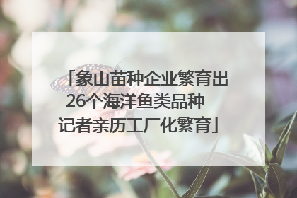 象山苗种企业繁育出26个海洋鱼类品种 记者亲历工厂化繁育