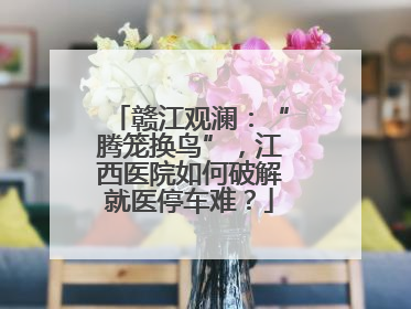 赣江观澜：“腾笼换鸟”，江西医院如何破解就医停车难？