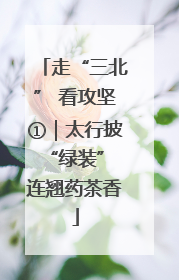 走“三北” 看攻坚①｜太行披“绿装” 连翘药茶香