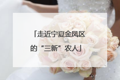 走近宁夏金凤区的“三新”农人