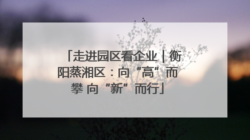 走进园区看企业｜衡阳蒸湘区：向“高”而攀 向“新”而行