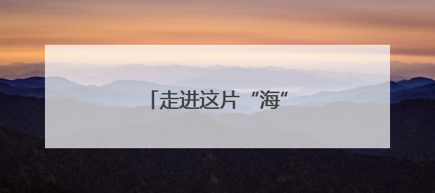 走进这片“海”来一场奇幻之旅