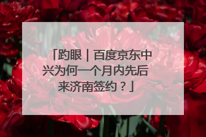 趵眼｜百度京东中兴为何一个月内先后来济南签约？