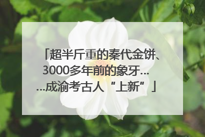超半斤重的秦代金饼、3000多年前的象牙……成渝考古人“上新”