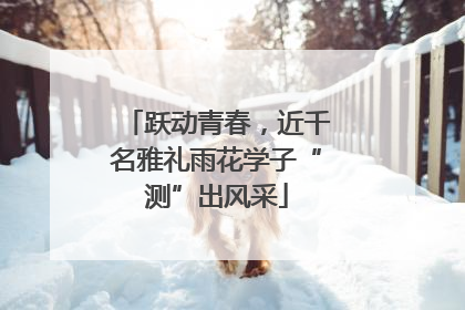 跃动青春，近千名雅礼雨花学子“测”出风采